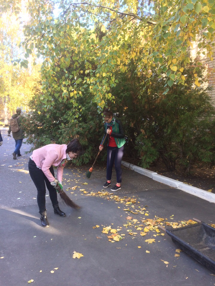 Санитарная пятница